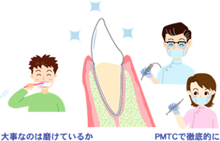 歯を支える骨が溶けてぐらぐらしてきます 