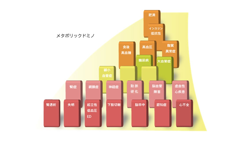 メタボリックドミノ