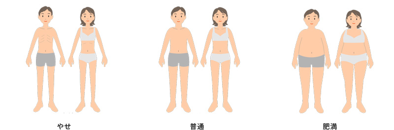 体型のイメージ