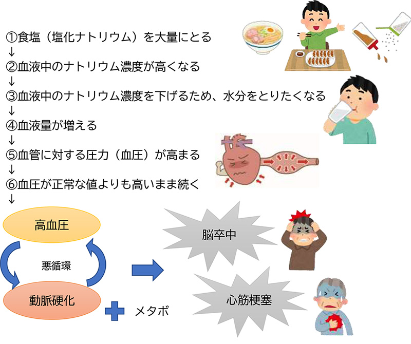 食塩をとりすぎるとどうなる？